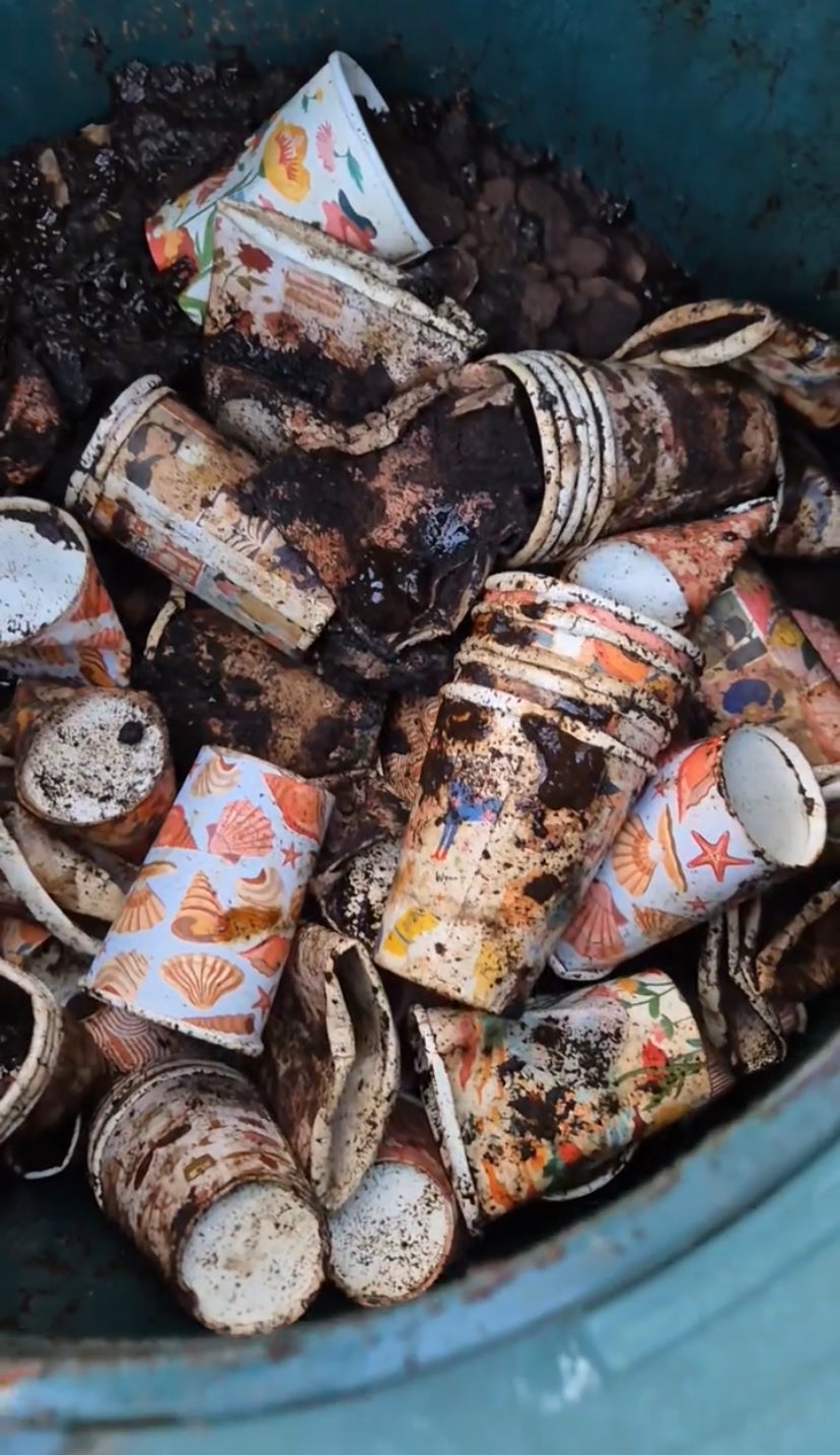 Tassy Shipping Container Cafe Composting our Coffee Cups onsite!