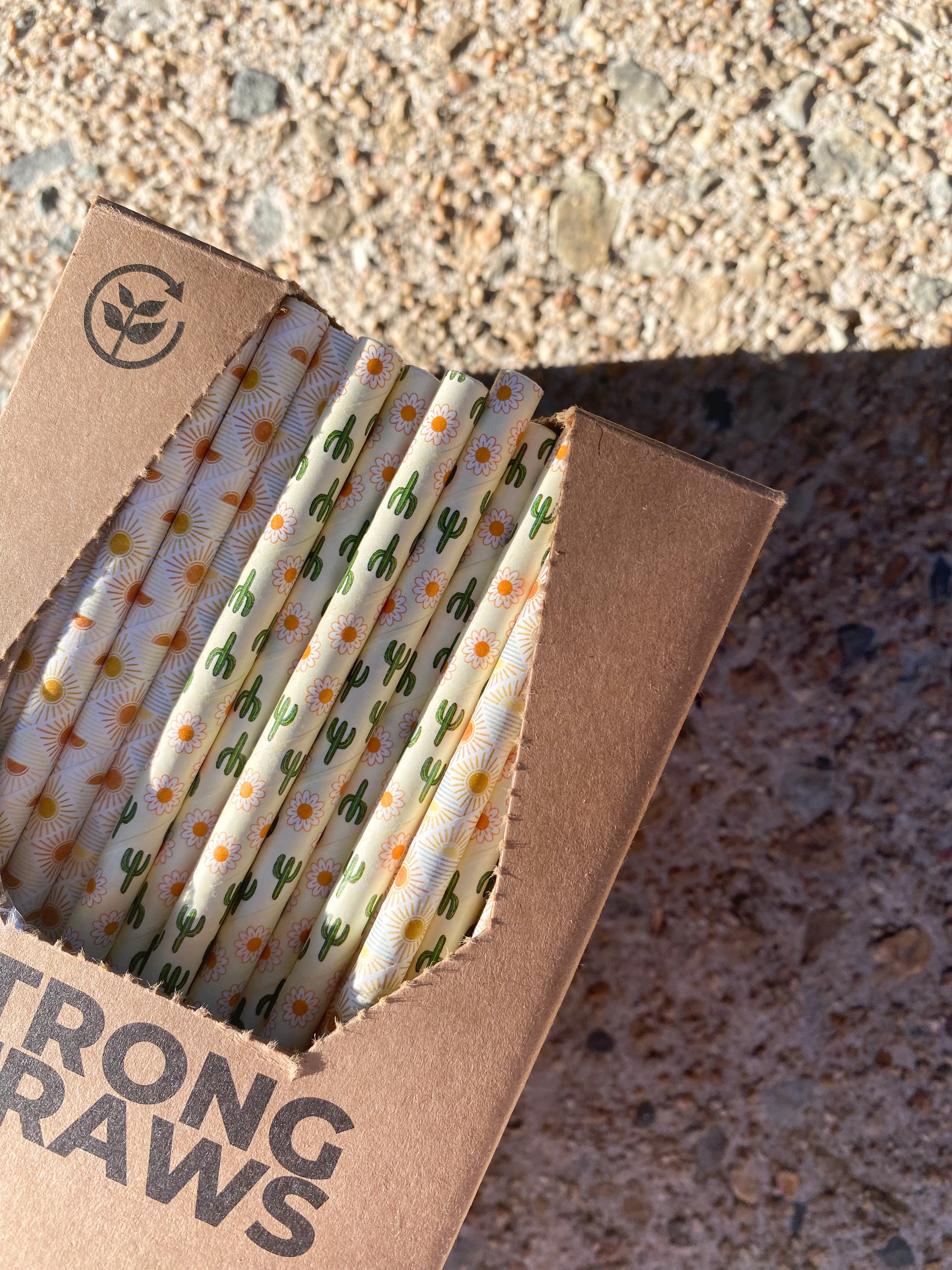 Premium 6mm Regular paper straws