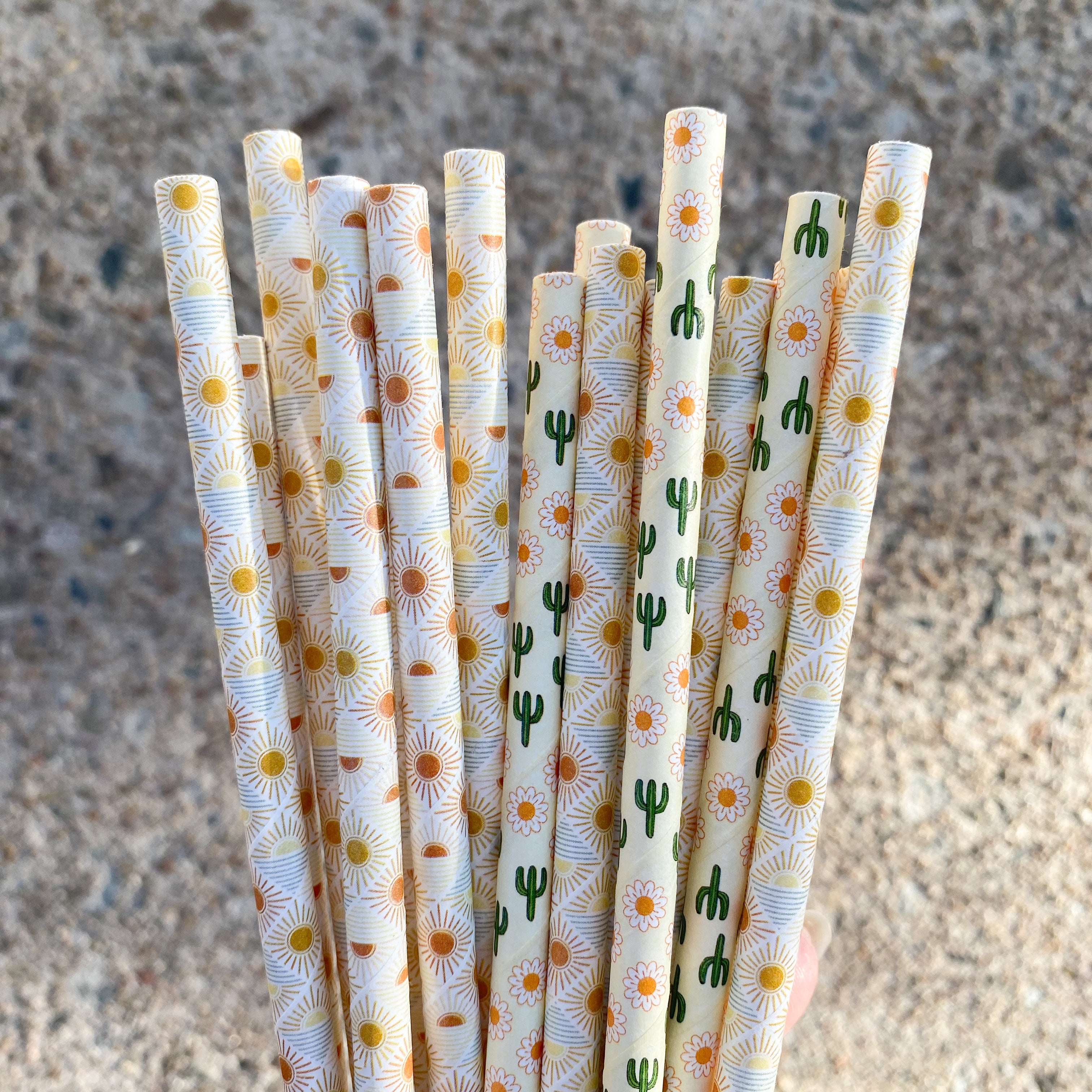 Premium 6mm Cocktail paper straws