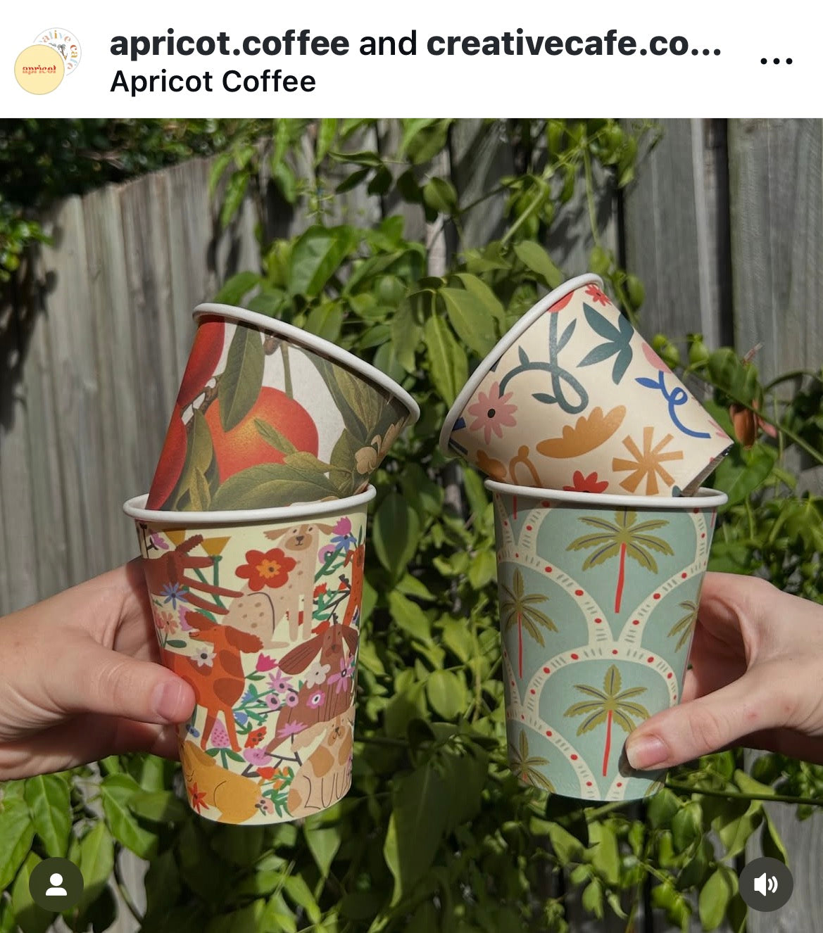 apricot coffee home compostable takeaway disposable coffee cups with dog print palm print