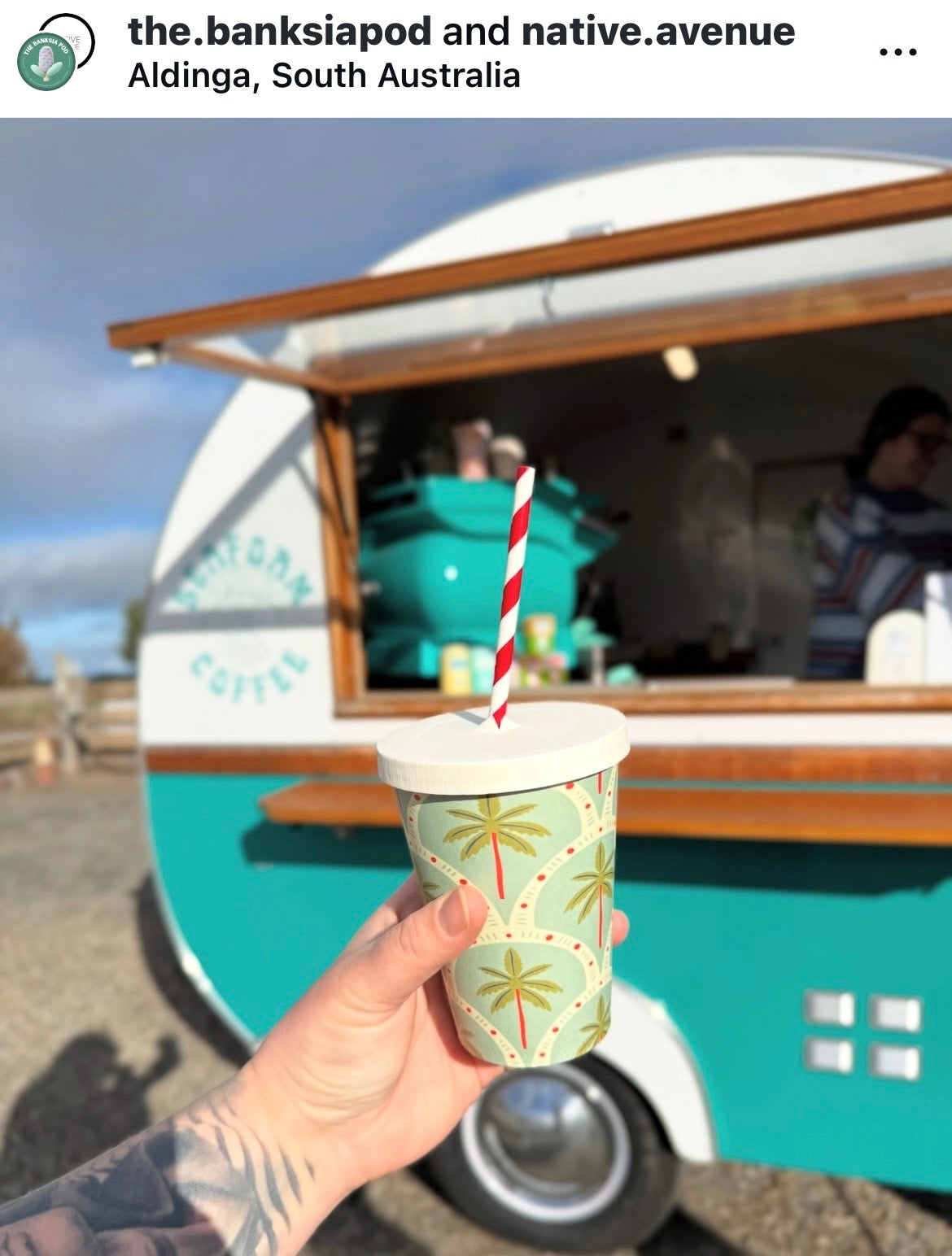 apricot coffee home compostable takeaway disposable coffee cups with dog print palm print cold latte drink flat lid 12oz