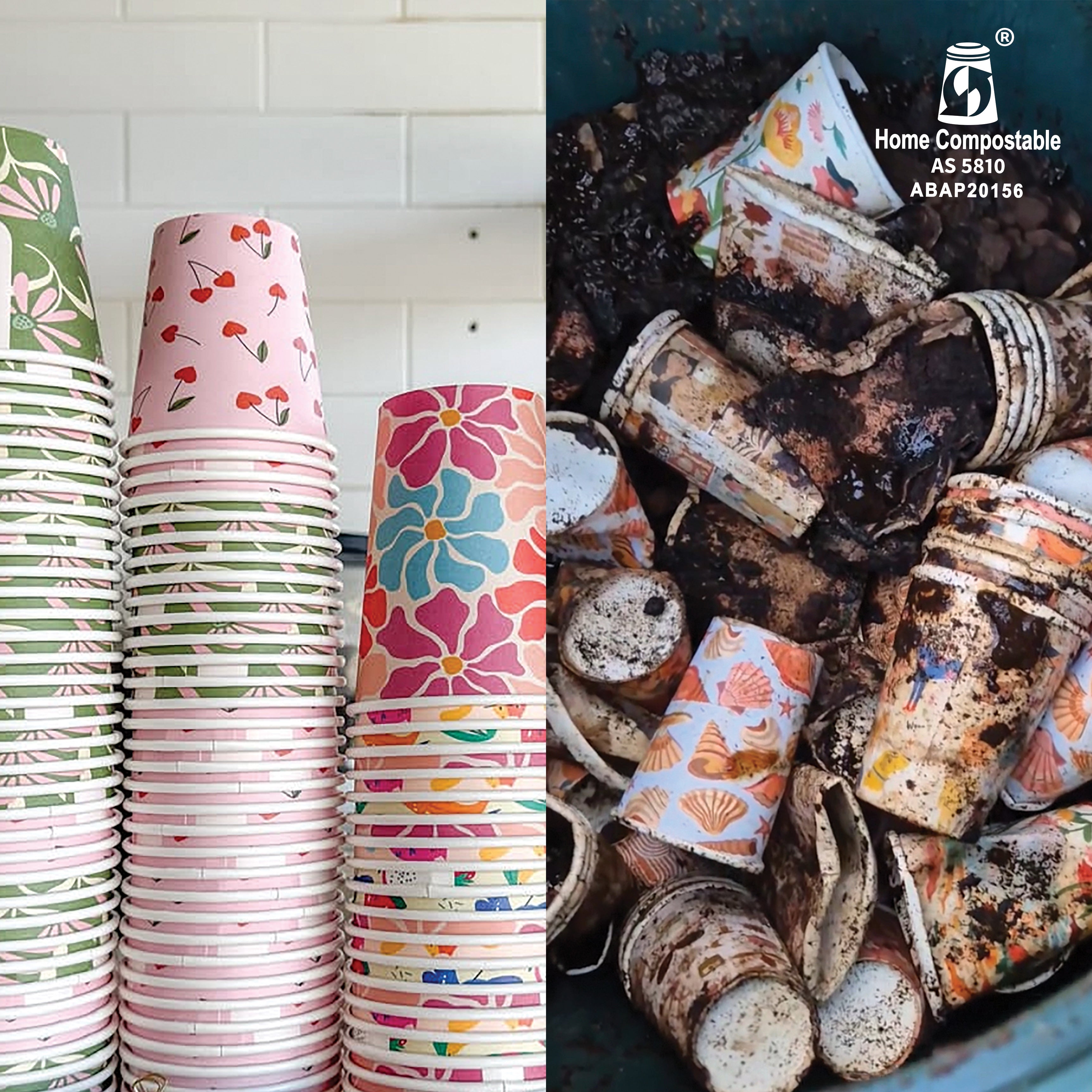 home compostable takeaway disposable coffee cups certified compost worm farm creative cafe company