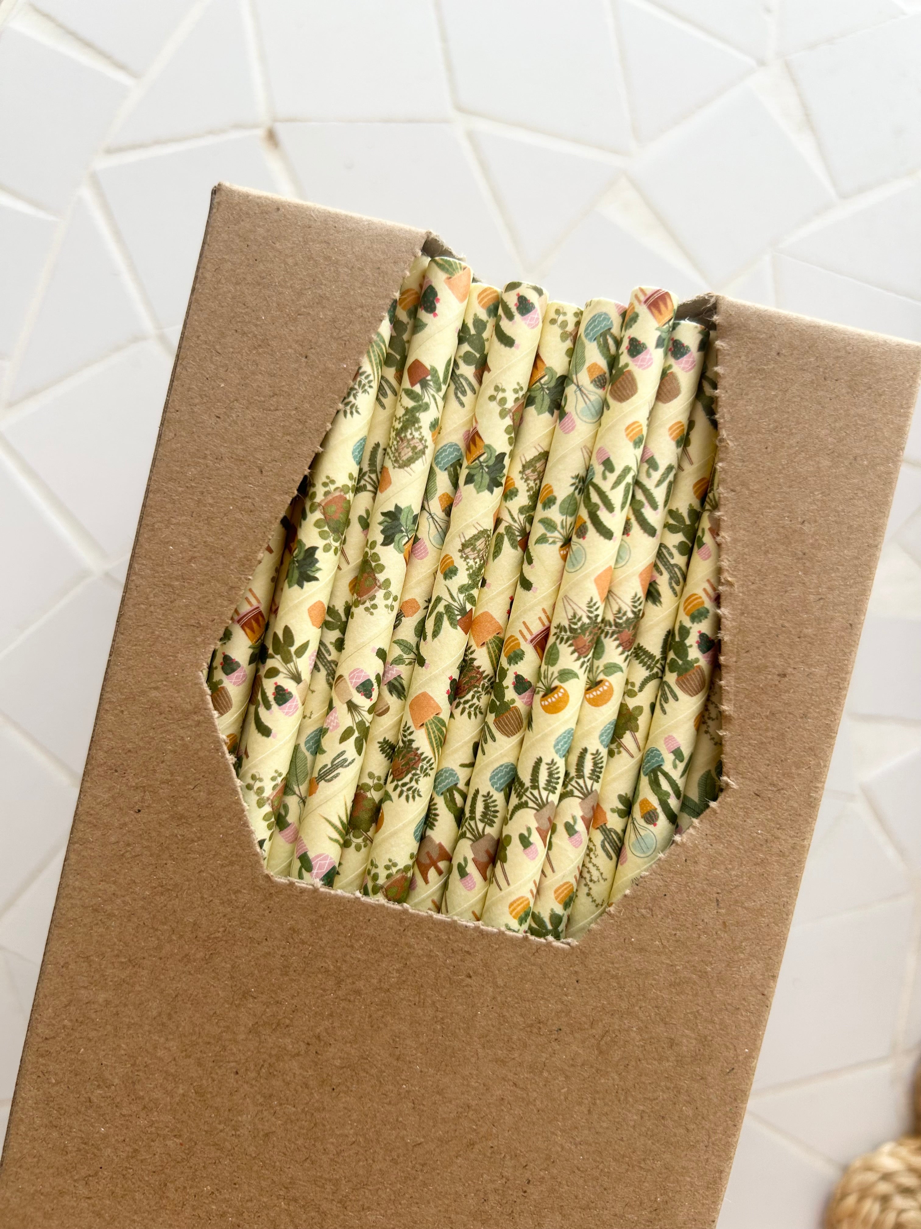 Premium 6mm Regular paper straws