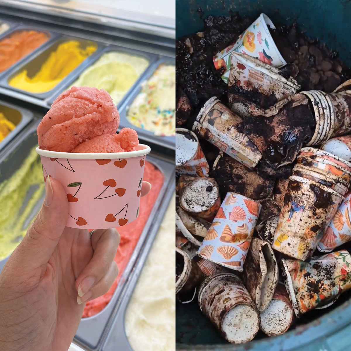 ice cream gelato cup home compostable compost