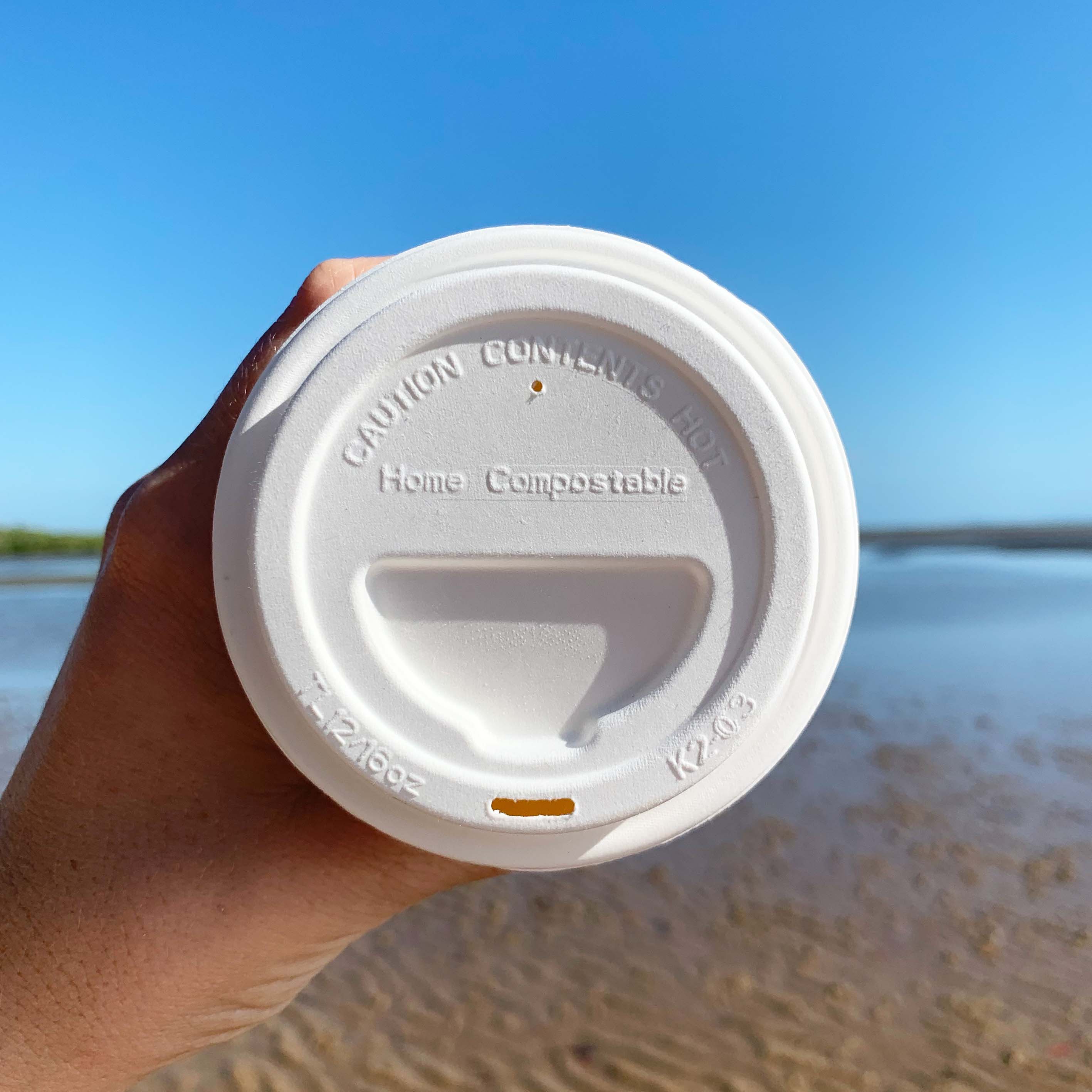 sugarcane home compostable natural takeaway paper coffee cup lid